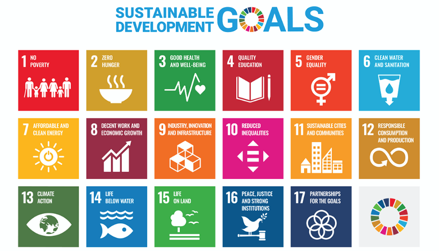 Sustainable Development Goals